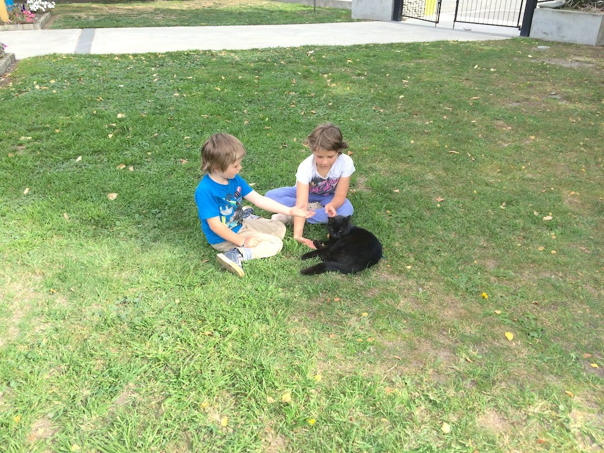 The kids petting Niyla the cat