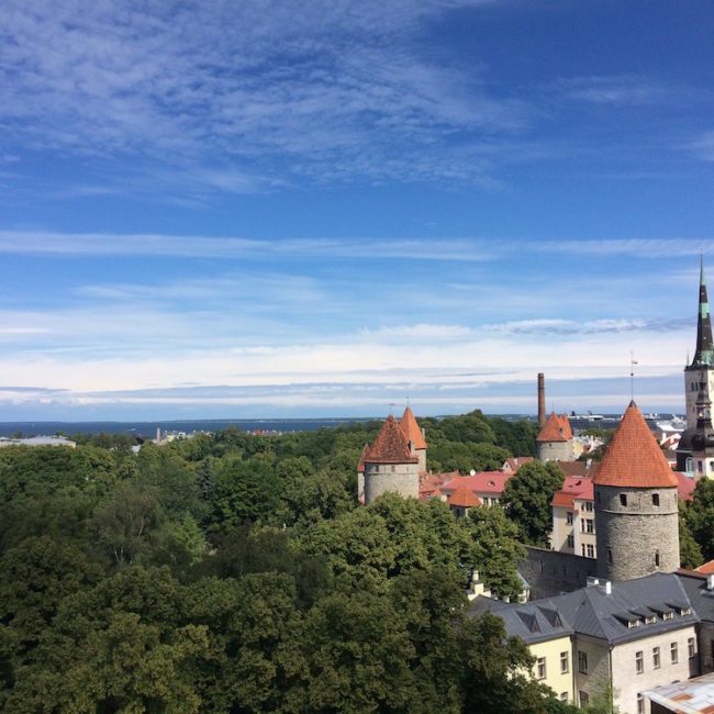 The view of Tallinn from the back of the palace