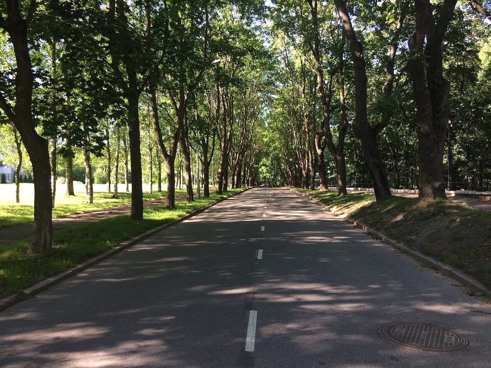 Street in Narva