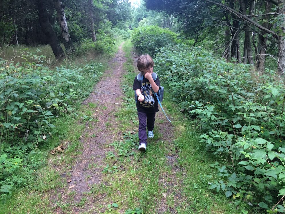 Lennox eating wild raspberries on the island of Aegna.