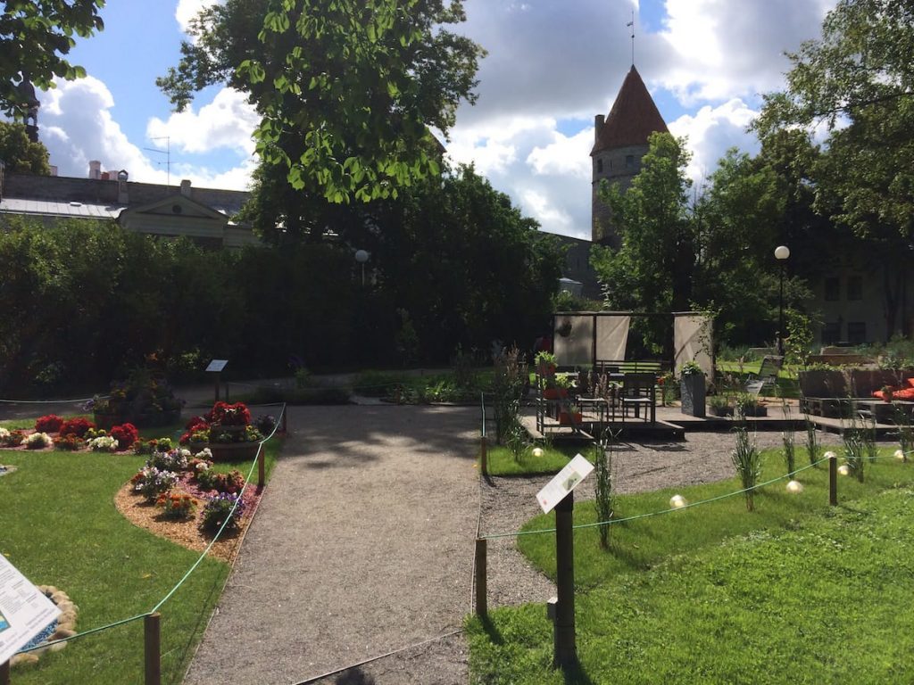 The Old Town garden