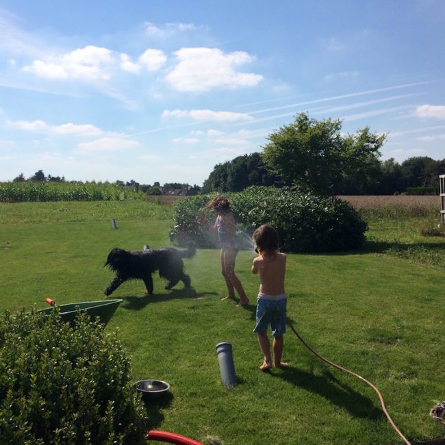 Cooling off on a hot summer's day