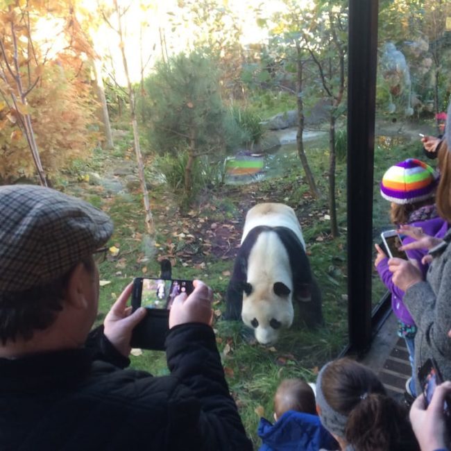 Edinburgh Zoo