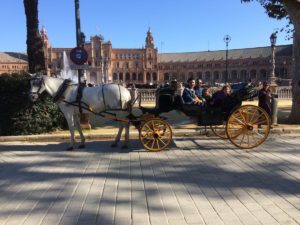 Horse and carriage ride at the palace
