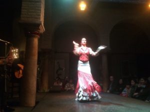 Amazing flamenco in Seville!
