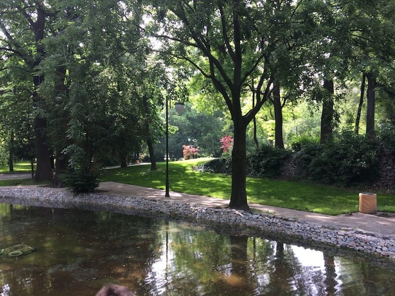 We called this "Bear Pond" in Tsar Simeon park