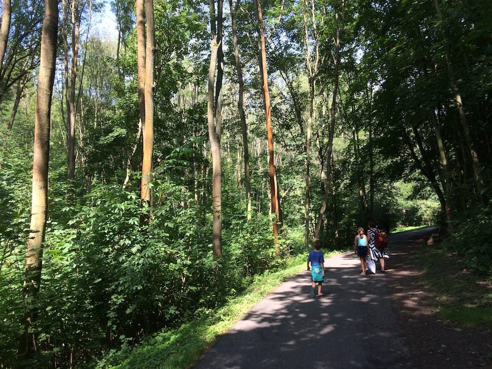 The trail to Dvoka Sarka pool, lots of old, tall trees