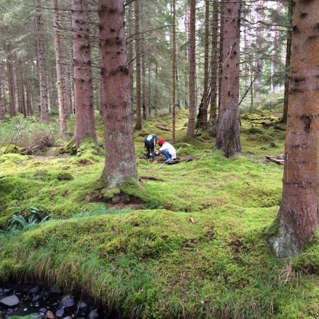 The kids were fully stuck in to finding all the fungus in Culbokie Wood