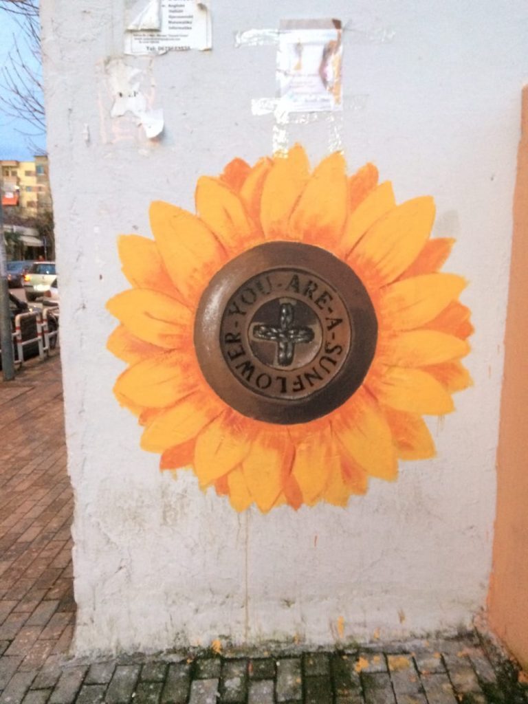 In our neighbhorhood in Tirana we saw several of these sunflowers - You are a sunflower, they say. Indeed!