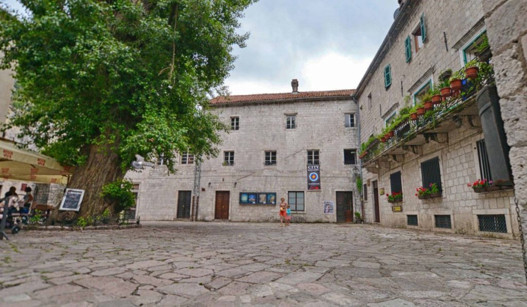 Gradsko Kino, Kotor Cinema next to the Black Poplar tree