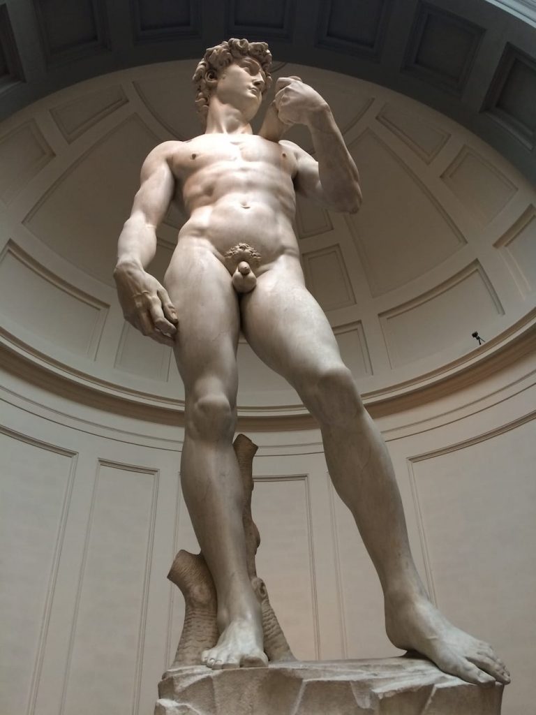 Statue of David viewed from the front, yes it's been done before