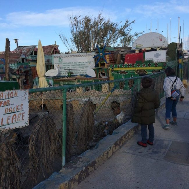 Sliema Cat Sanctuary