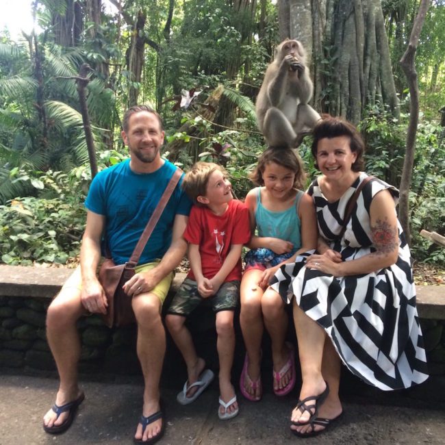 A family of monkeys