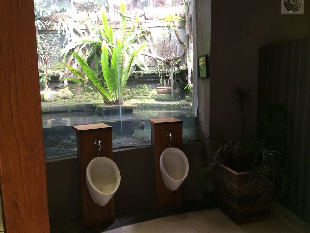 Amazing men's toilets at Bali Zoo